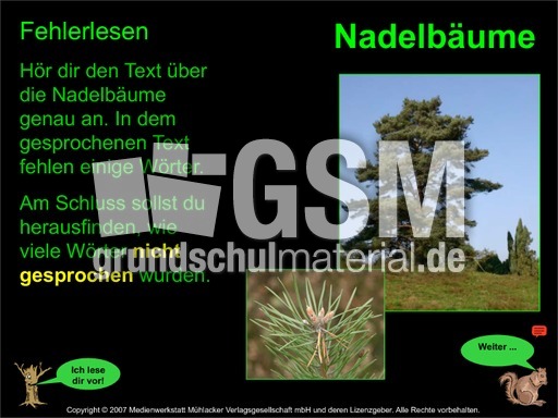 Fehlerlesen-Nadelbäume-Übung.pdf